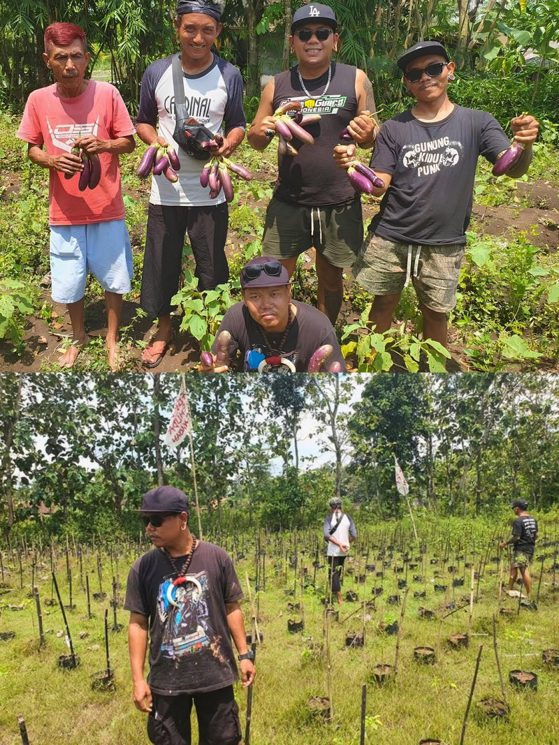 Komunitas Anak Punk Gunungkidul Sukses Jadi Petani dan Bantu Warga